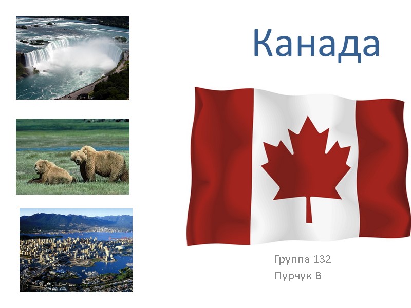 Канада Группа 132 Пурчук В